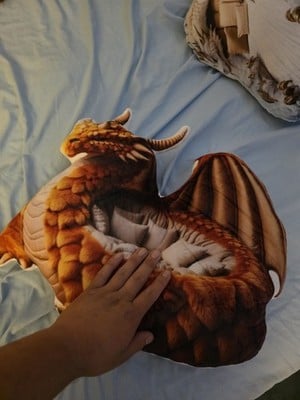 Real photo of the Giant Amber Dragon flat plush shaped pillow