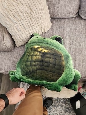 Real photo of the Giant Green Frog flat plush shaped pillow (2 of 4)
