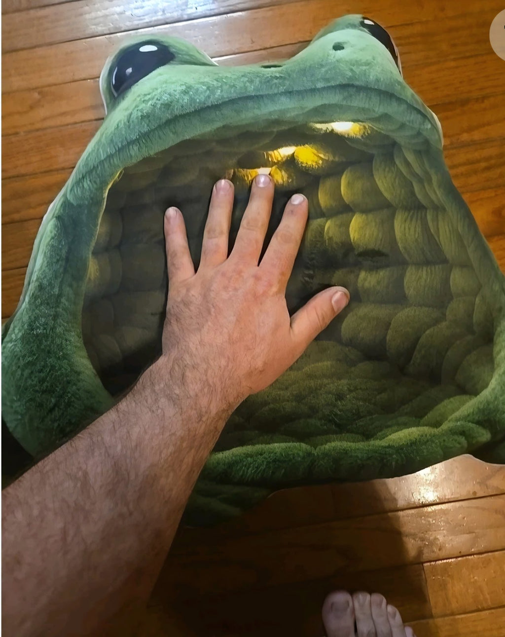 Real photo of the Giant Green Frog flat plush shaped pillow (4 of 4)