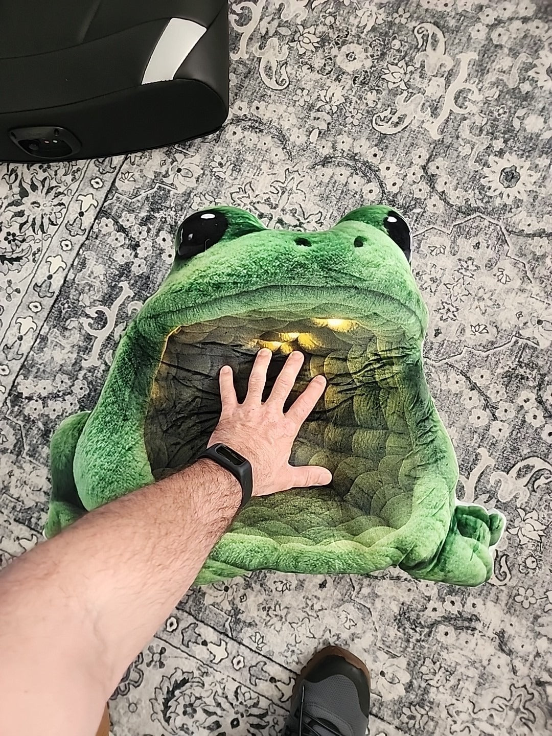 Customer photo of the Giant Green Frog flat plush shaped pillow