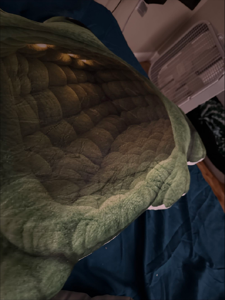 Customer photo (flagged for review) of the Giant Green Frog flat plush shaped pillow