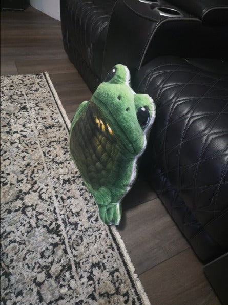 Customer photo of the Giant Green Frog flat plush shaped pillow