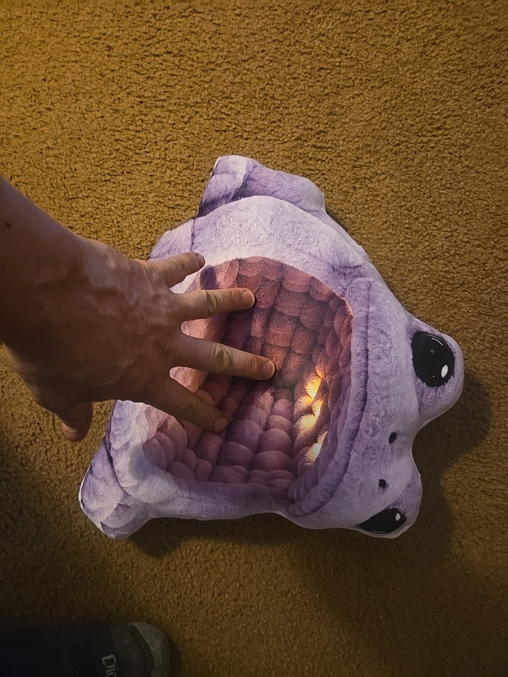 Customer photo of the Giant Purple Frog flat plush shaped pillow