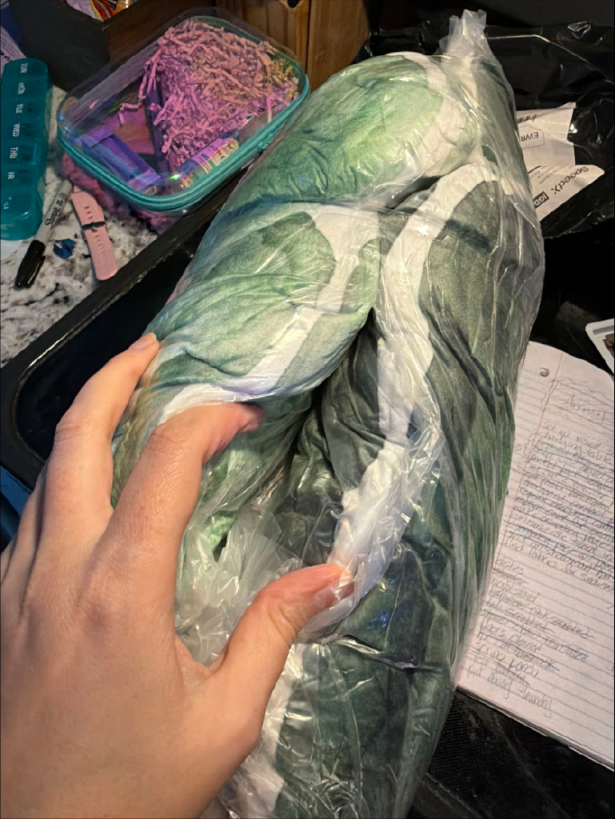 Customer photo (flagged for review) of the Giant Turtle Shell flat plush shaped pillow