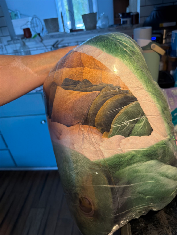 Customer photo (flagged for review) of the Giant Turtle Shell flat plush shaped pillow