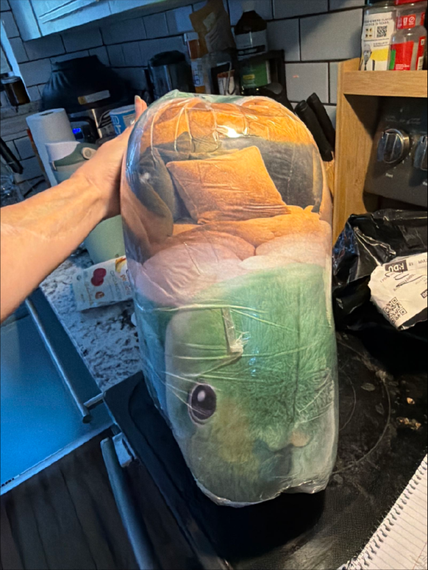 Customer photo (flagged for review) of the Giant Turtle Shell flat plush shaped pillow