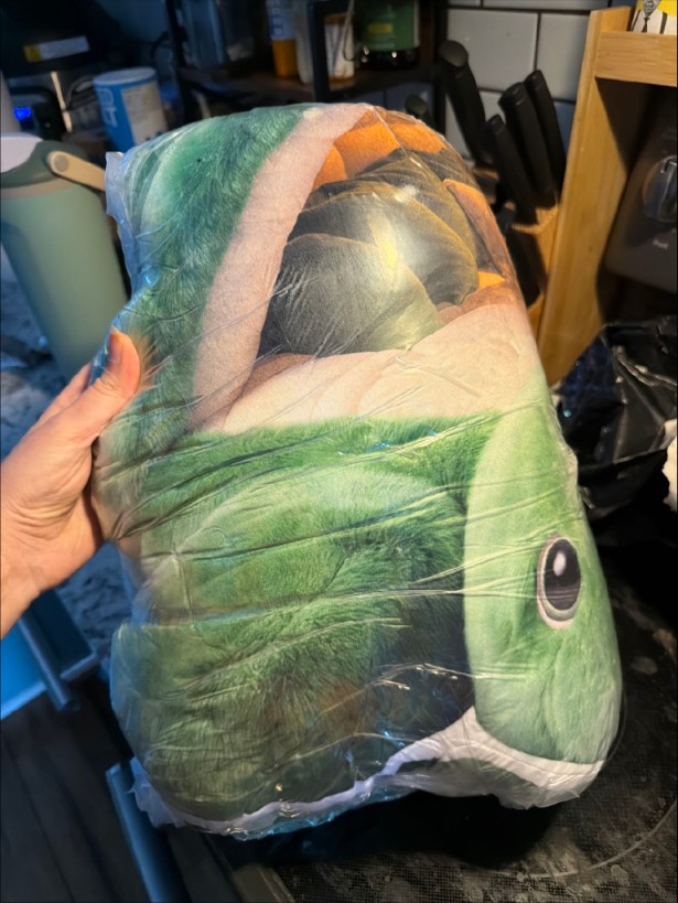 Customer photo (flagged for review) of the Giant Turtle Shell flat plush shaped pillow