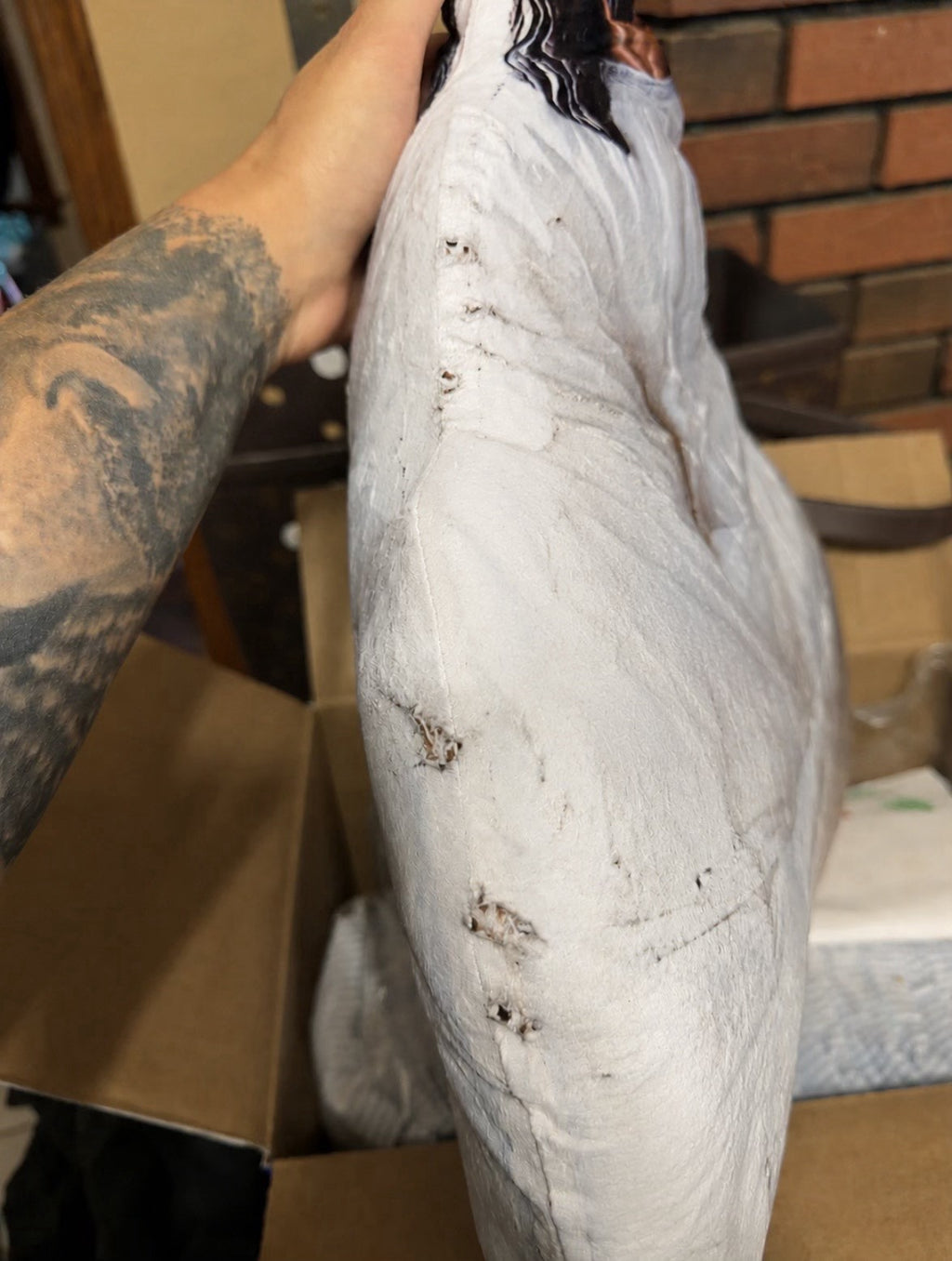 Customer photo (flagged for review) of Jesus Christian Shaped Plush Pillow