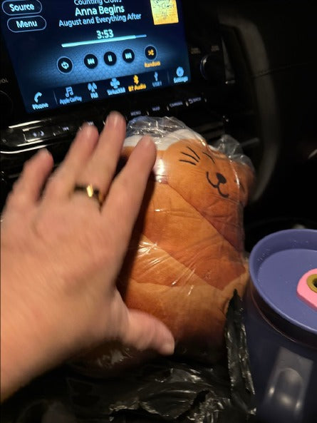 Customer photo (flagged for review) of the Orange Cat flat plush shaped pillow