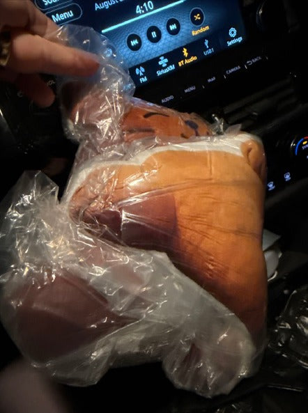 Customer photo (flagged for review) of the Orange Cat flat plush shaped pillow