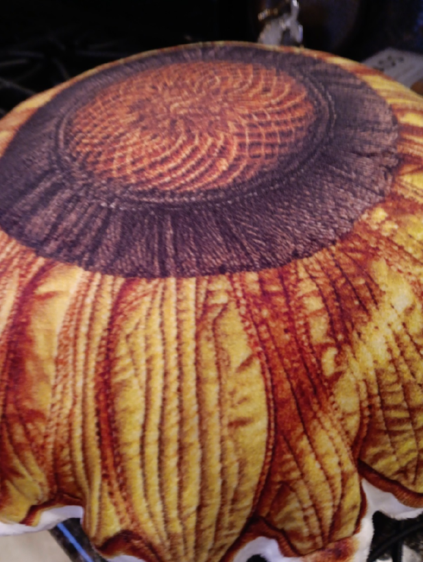 Customer photo (flagged for review) of Quilted Sunflower Bloom Shaped Plush Pillow
