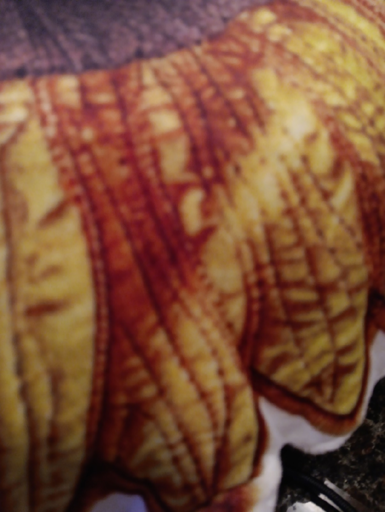 Customer photo (flagged for review) of Quilted Sunflower Bloom Shaped Plush Pillow