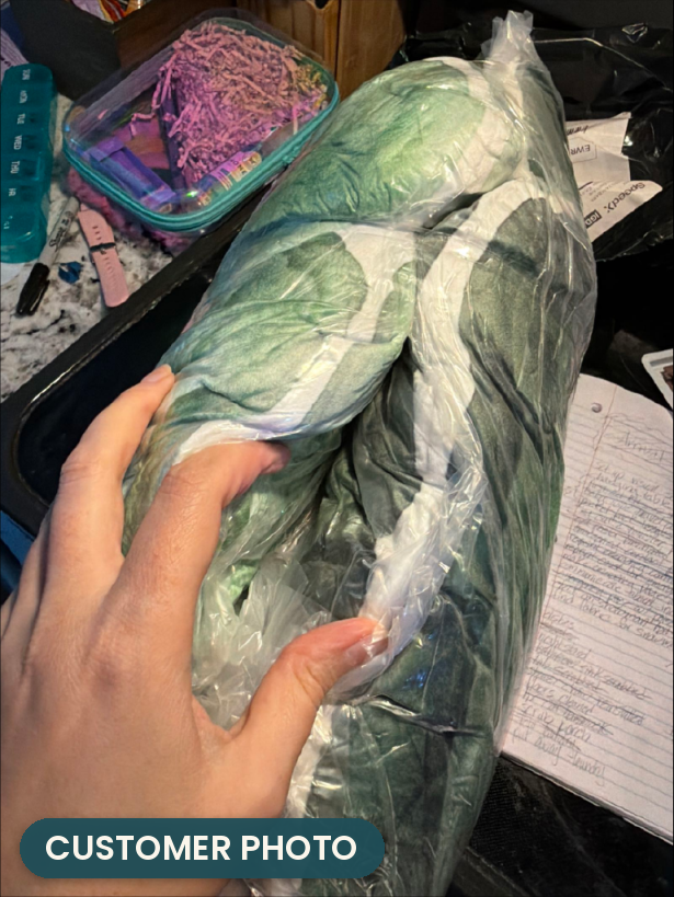 Customer photo: Giant Turtle Shell Lounger Pillow (every order ships brand new)