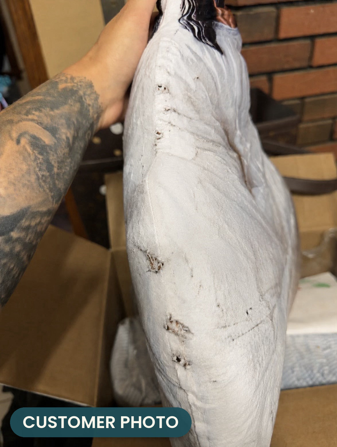 Customer photo: Jesus Christian Pillow (every order ships brand new)