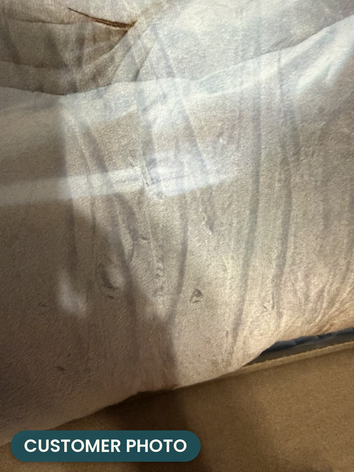 Customer photo: Jesus Christian Pillow (every order ships brand new)