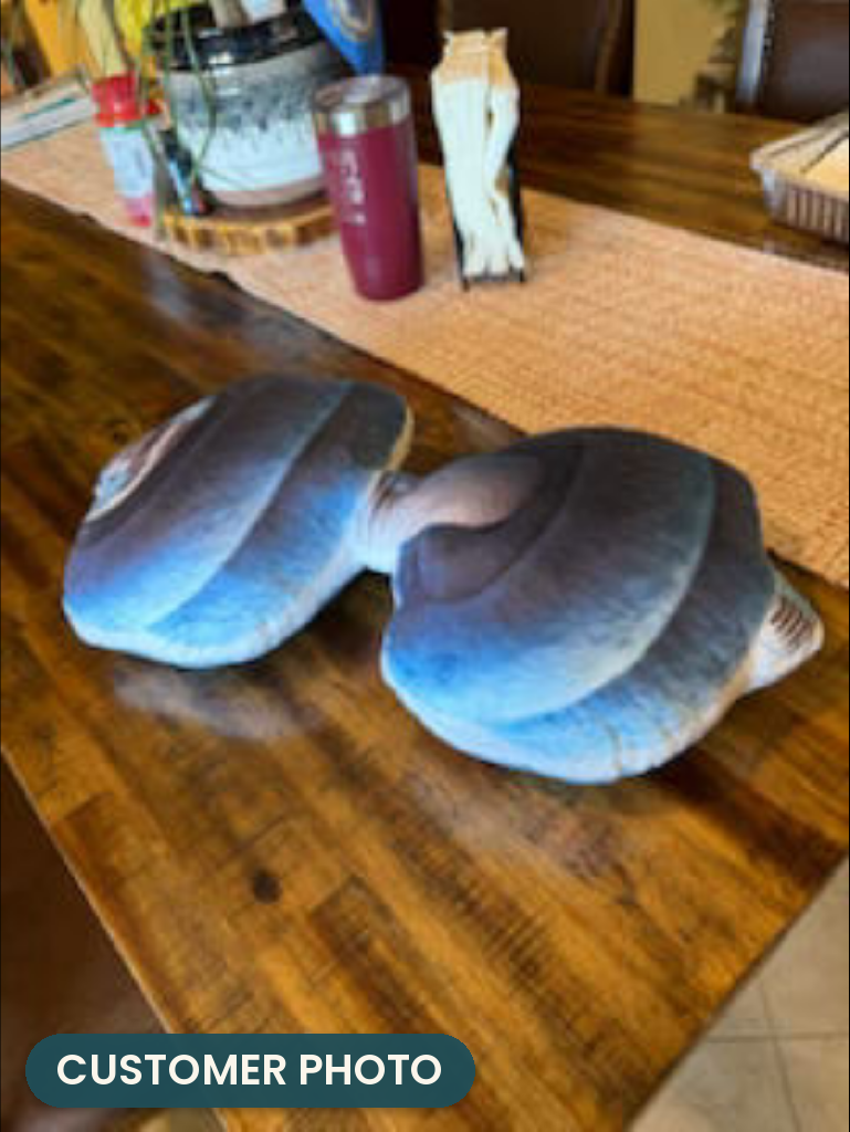 Customer photo: Workout Dumbbell Pillow (every order ships brand new)