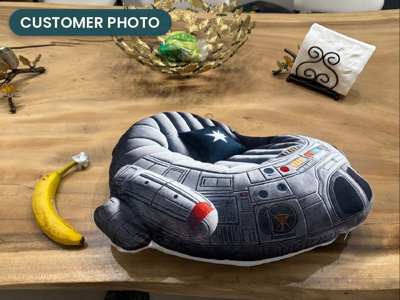 Customer photo: Space Ship Lounger Pillow (every order ships brand new)