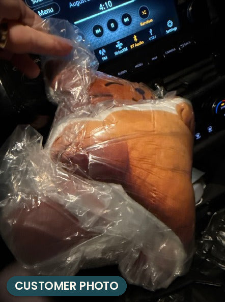 Customer photo: Orange Cat Lounger Pillow (every order ships brand new)