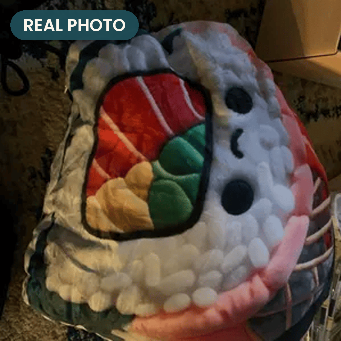 Real photo: Kawaii Sushi Roll Pillow (every order ships brand new)