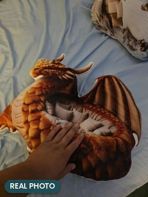 Real photo: Giant Amber Dragon Lounger Pillow (every order ships brand new)