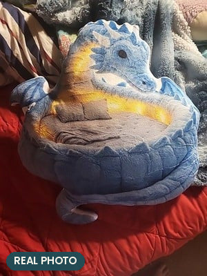 Real photo: Giant Ice Dragon Lounger Pillow (every order ships brand new)