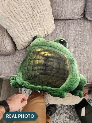 Real photo: Giant Green Frog Lounger Pillow (every order ships brand new)