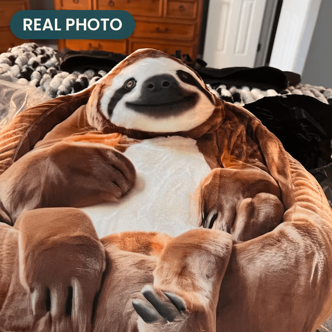 Real photo: Sloth Pillow (every order ships brand new)