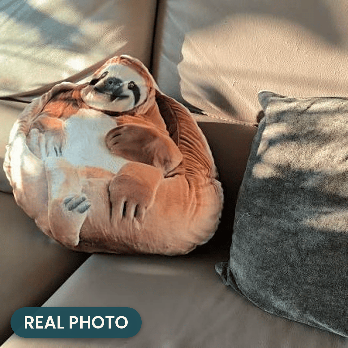 Real photo: Sloth Pillow (every order ships brand new)