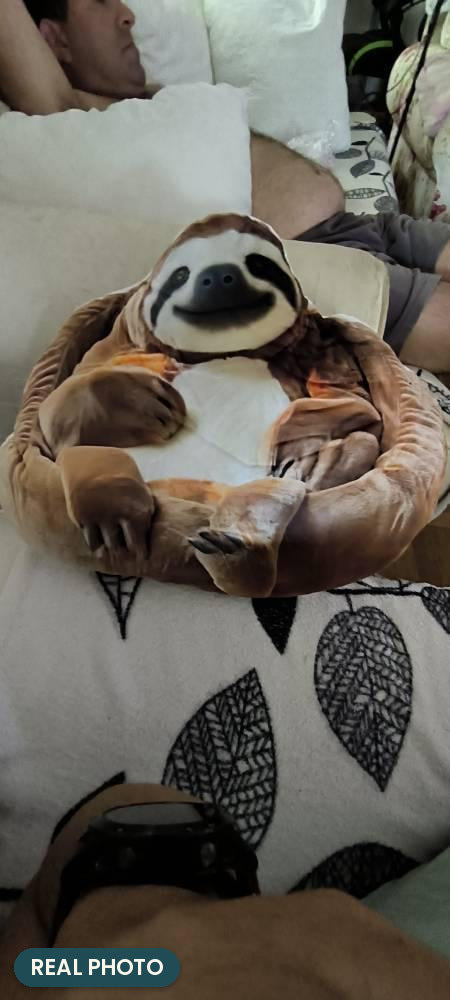 Real photo: Sloth Pillow (every order ships brand new)