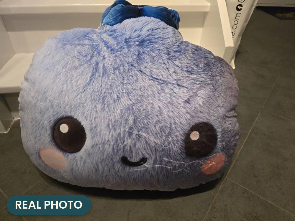 Real photo: Kawaii Blueberry Pillow (every order ships brand new)