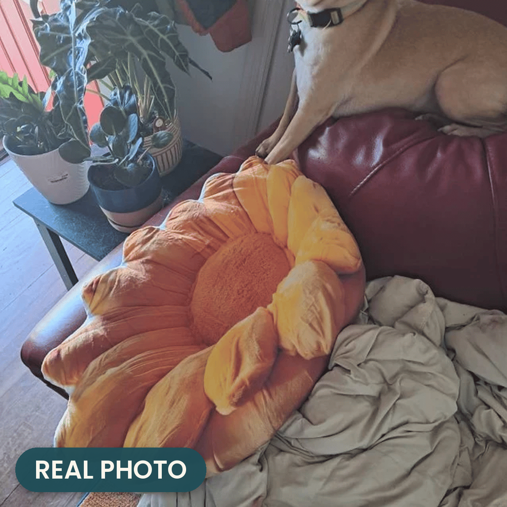Real photo: Sunflower Pillow (every order ships brand new)