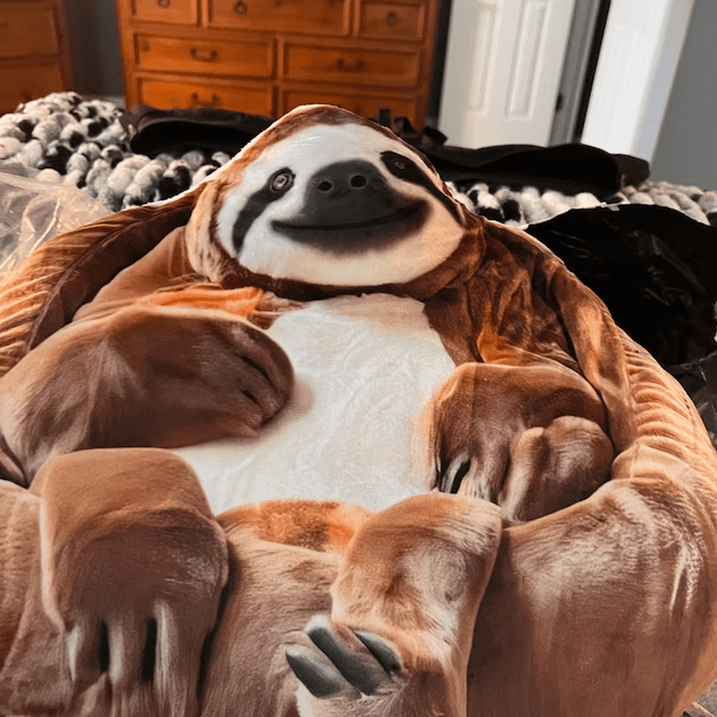 Real photo of the Sloth flat plush shaped pillow (1 of 4)
