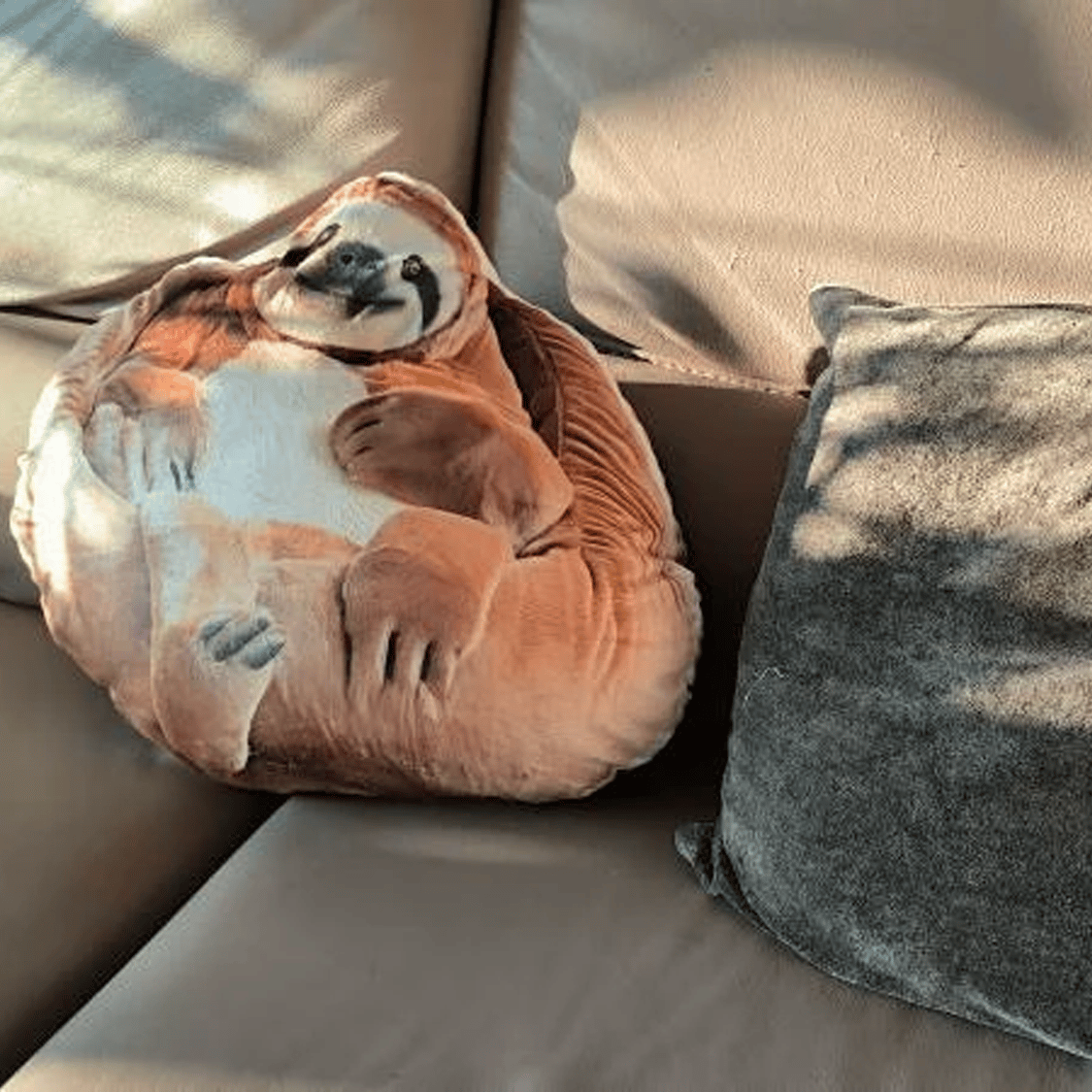 Real photo of the Sloth flat plush shaped pillow (2 of 4)