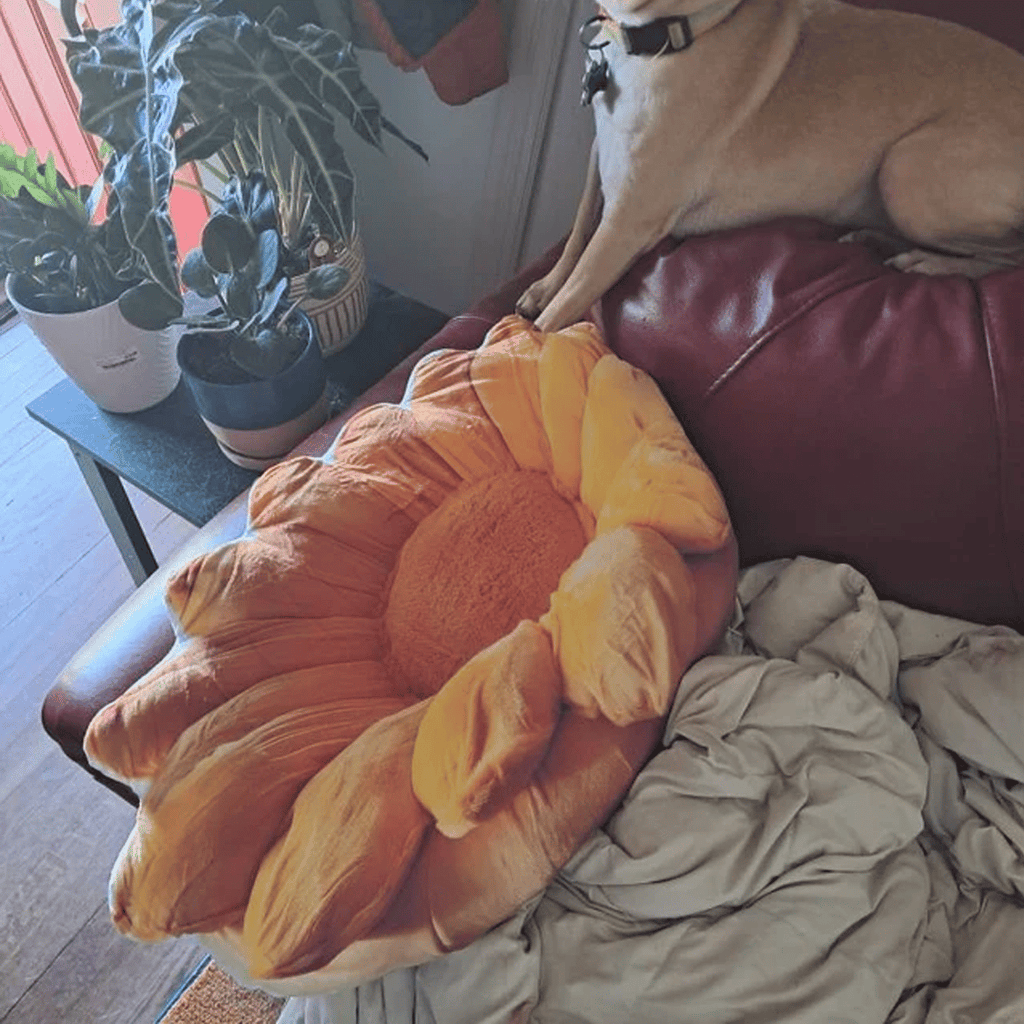 Real photo of the Sunflower flat plush shaped pillow (1 of 3)