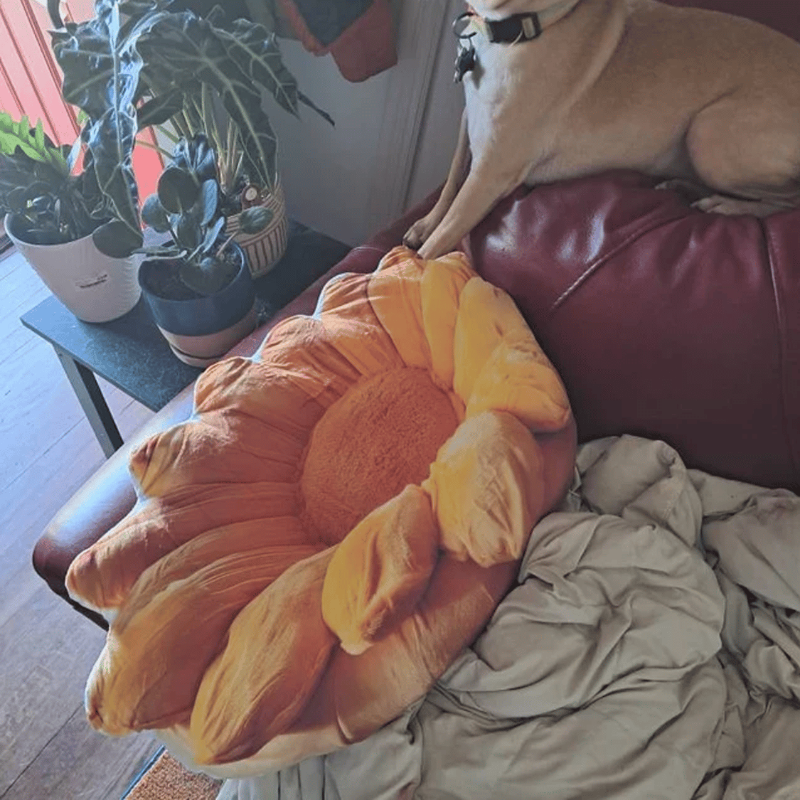 Real photo of the Sunflower flat plush shaped pillow (1 of 3)